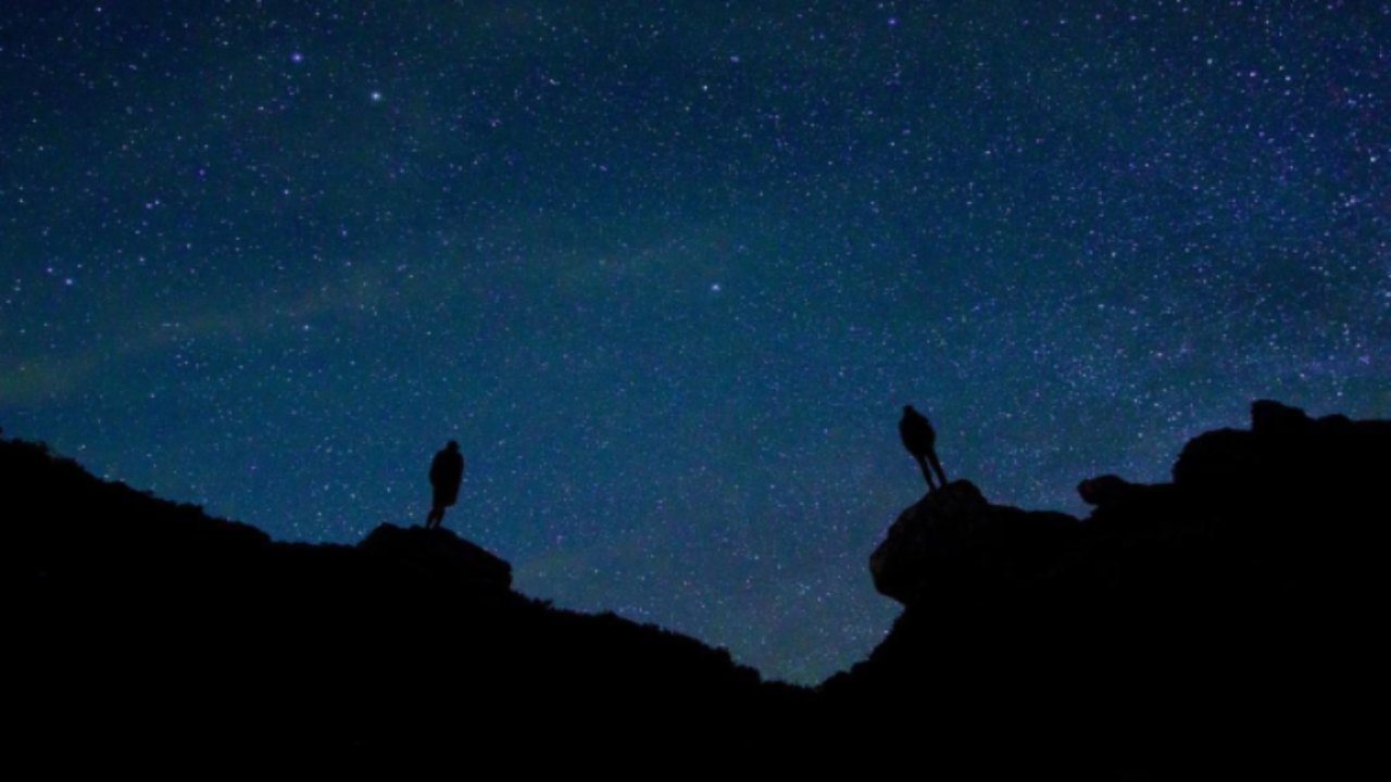 La Notte di San Lorenzo: le origini di un desiderio