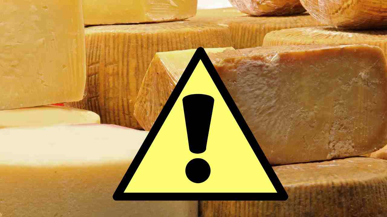 formaggio