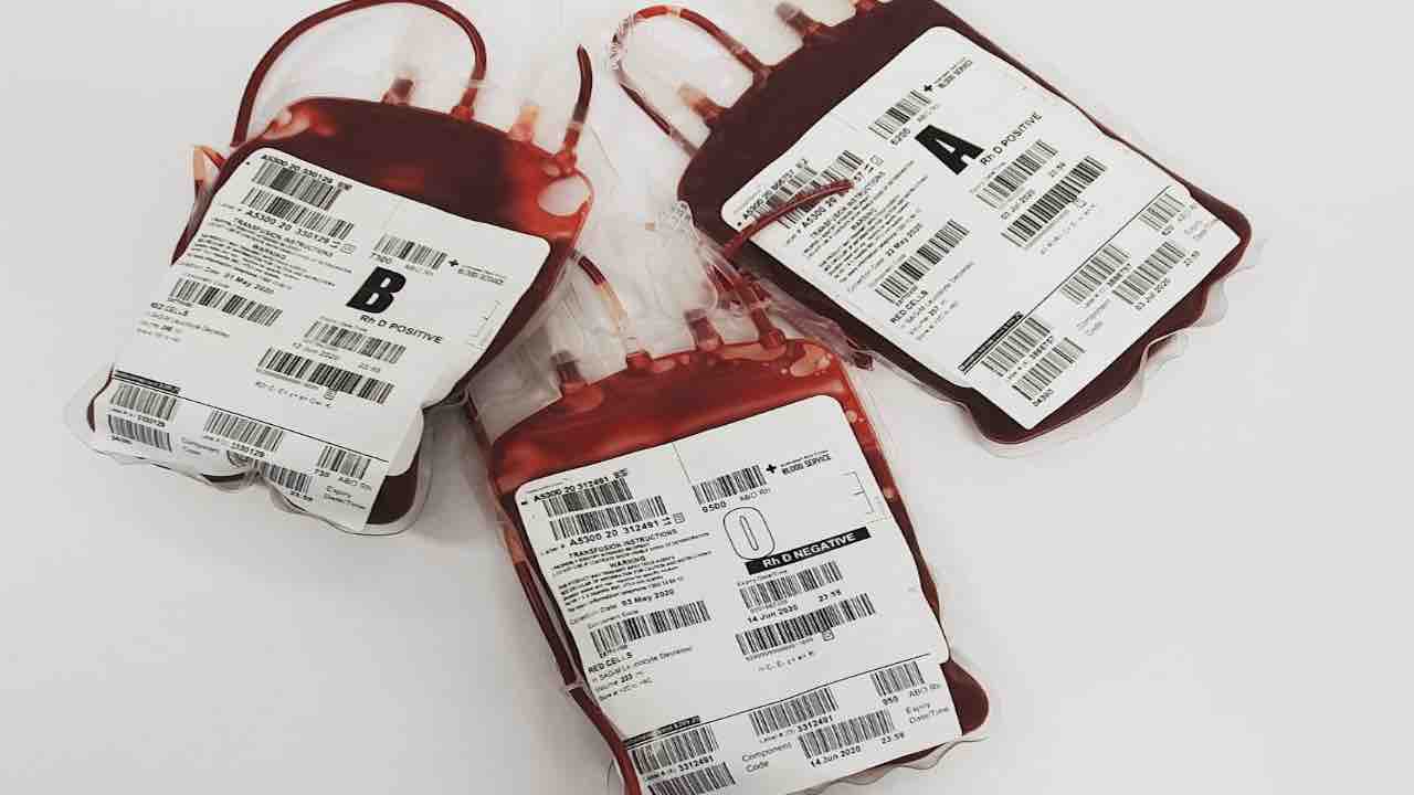 Trasfusioni di sangue testimoni di Geova