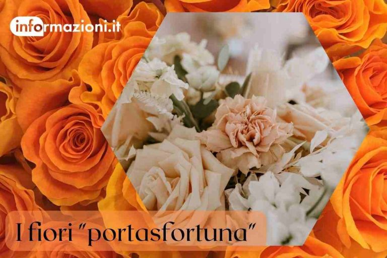 Questi fiori portano sfortuna non devi mai averli in casa! Informazioni.it Questi fiori portano sfortuna non devi mai averli in casa! Informazioni.it