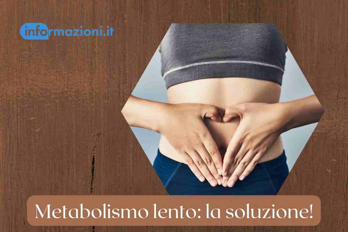 metabolismo