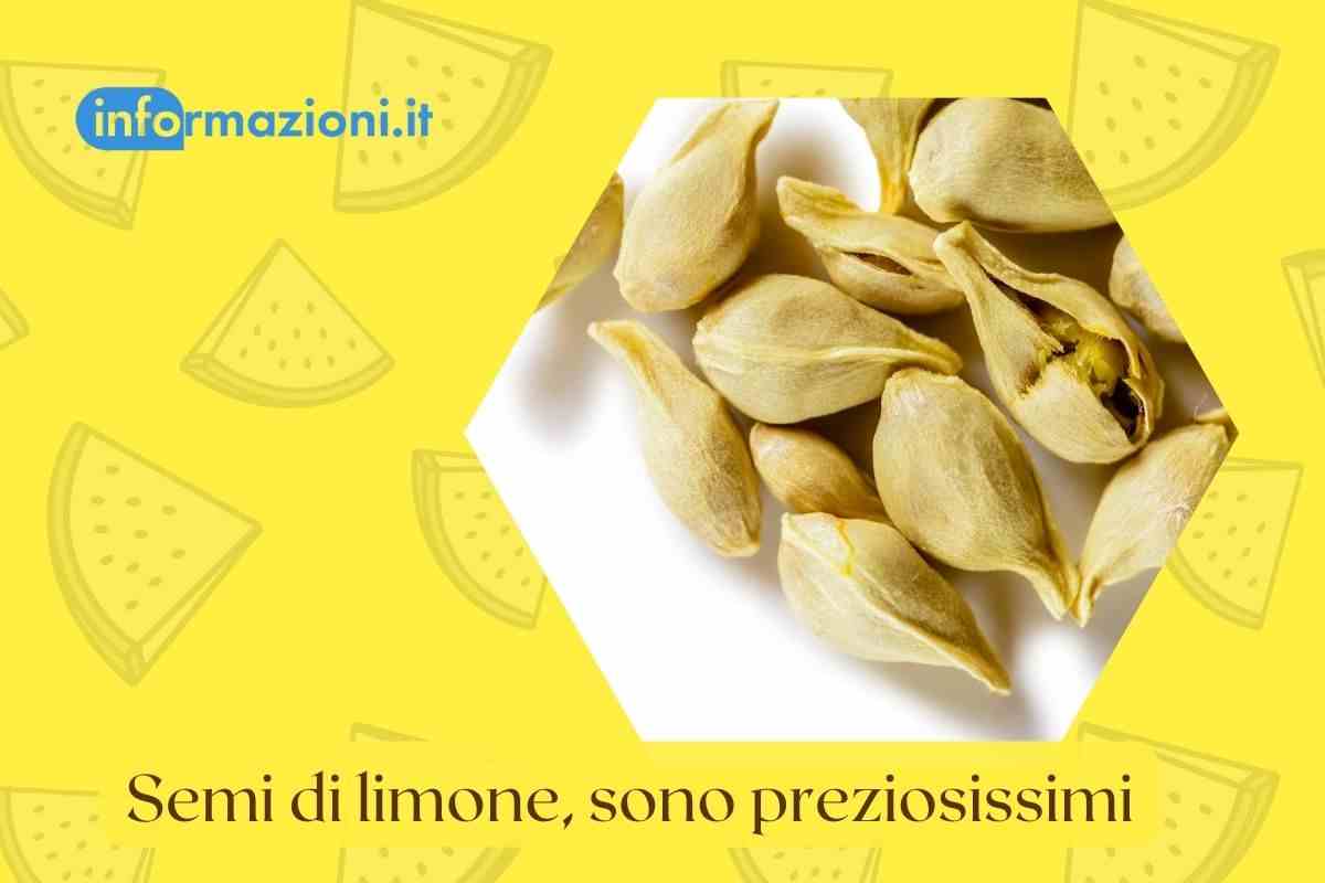 semi limone