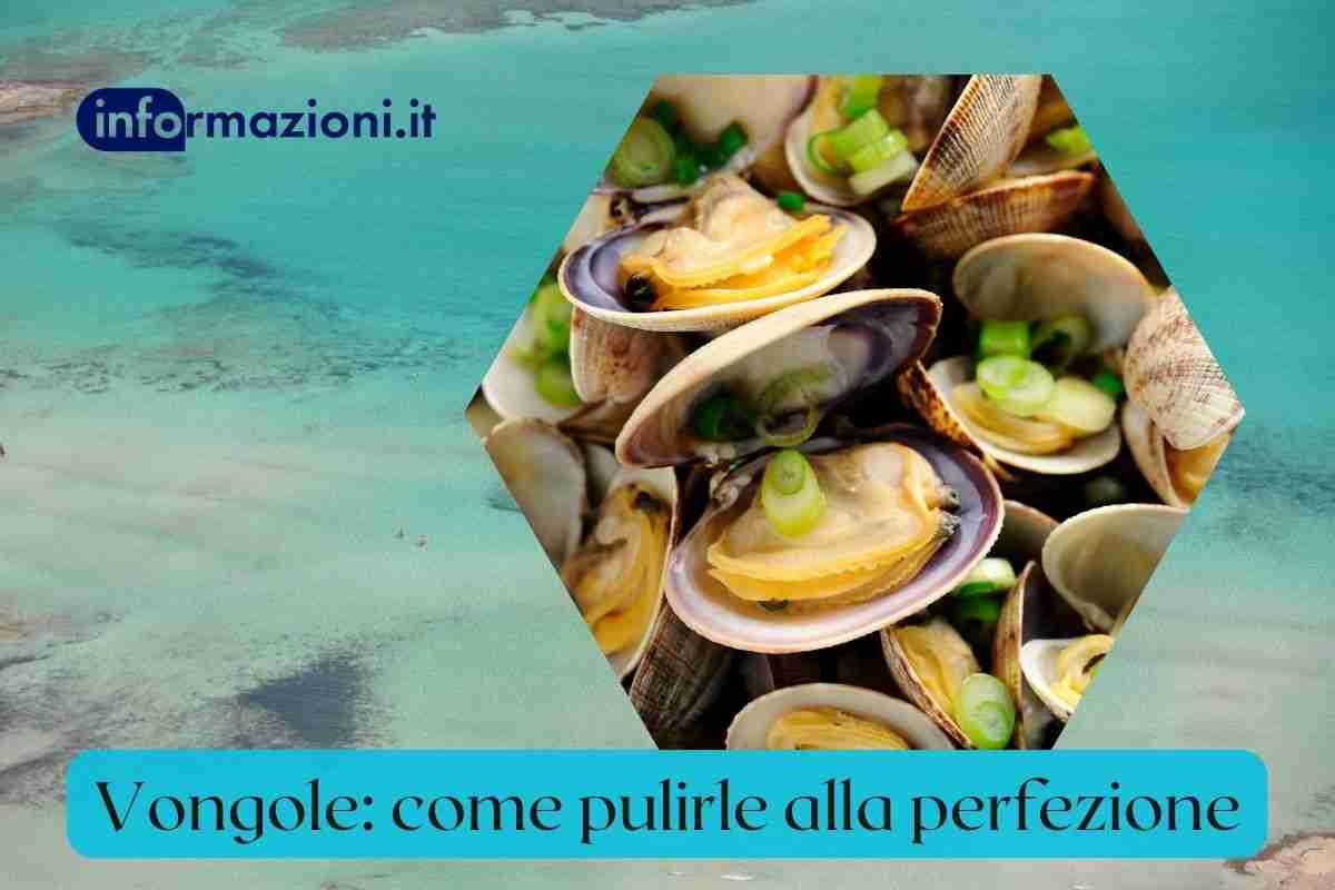 vongole