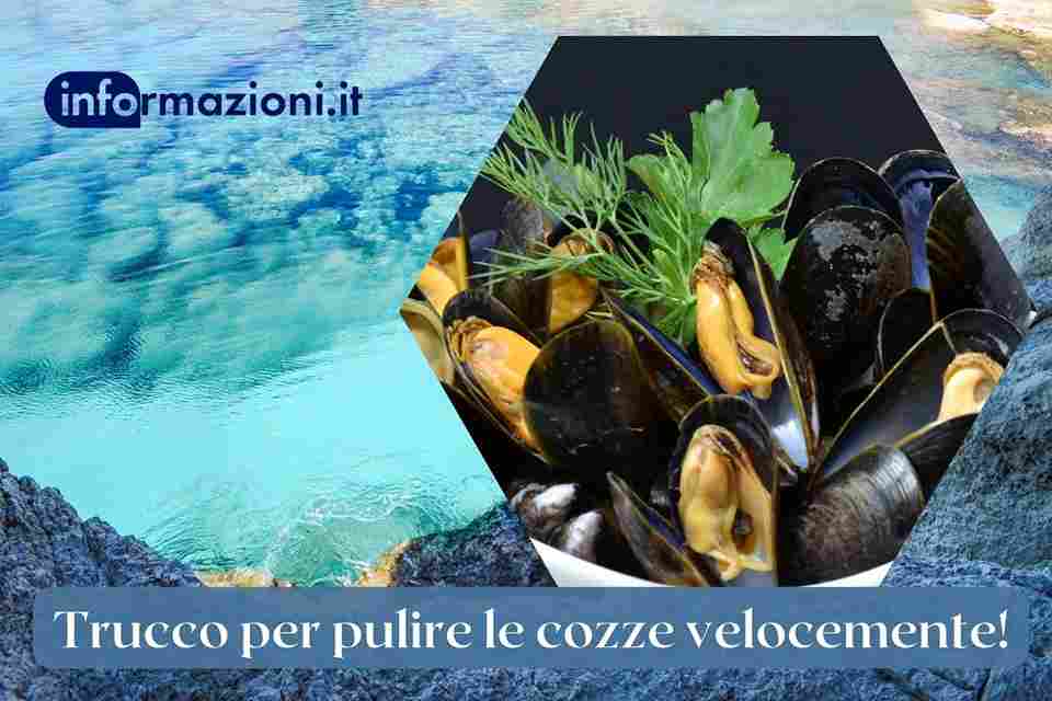 cozze