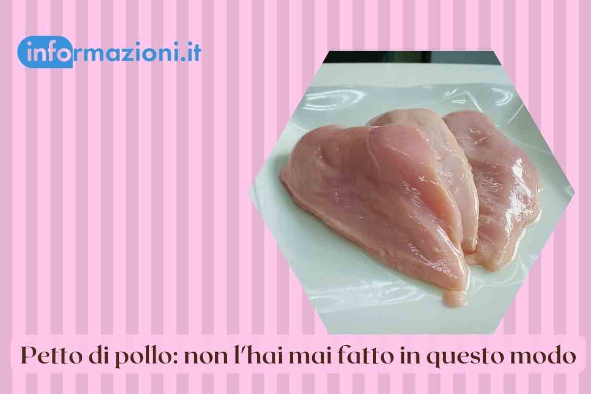 pollo