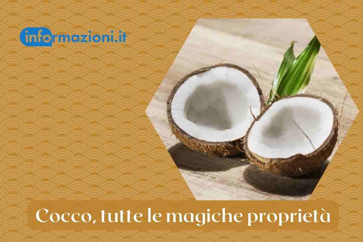 cocco