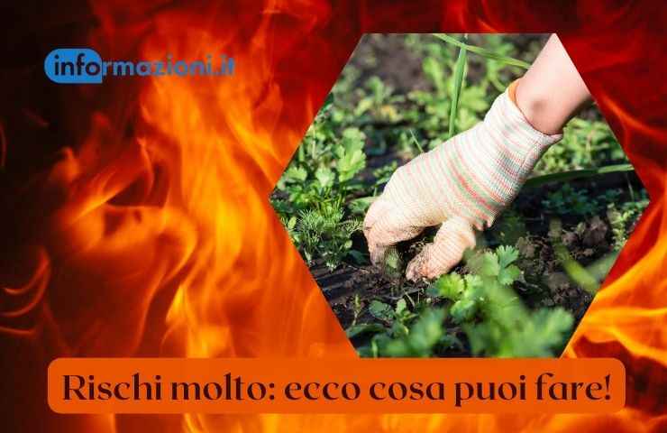 erbacce fuoco