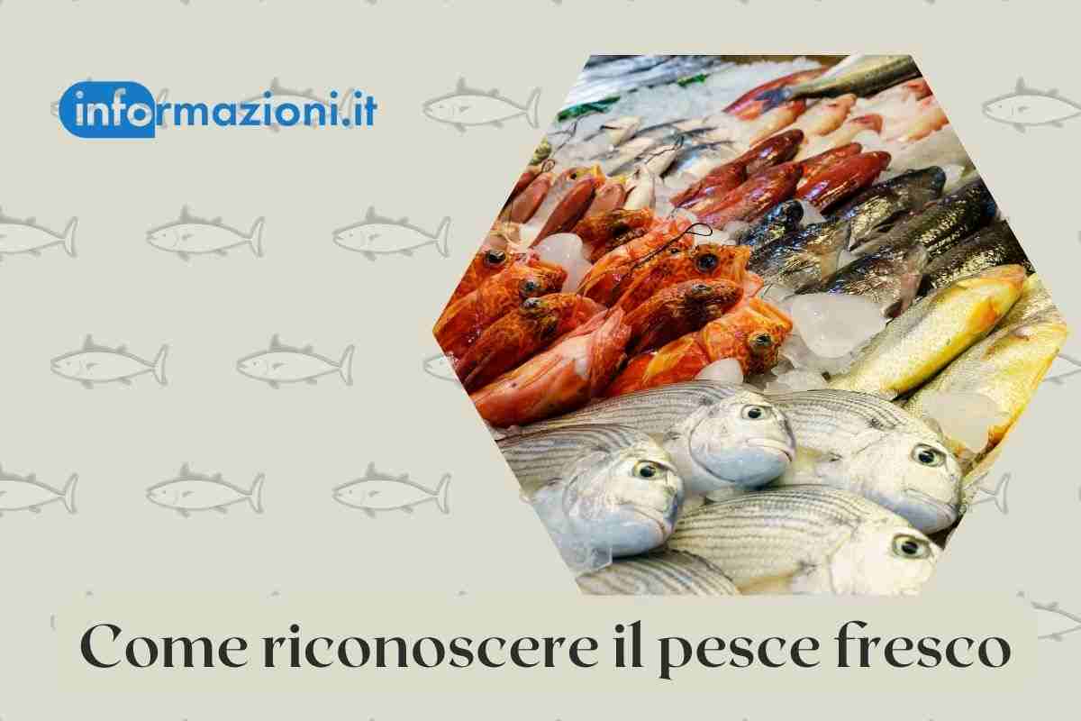 pesce fresco