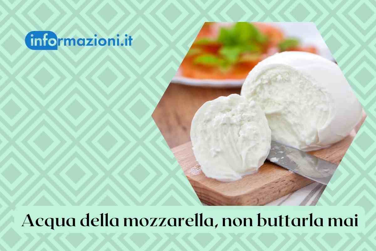 mozzarella