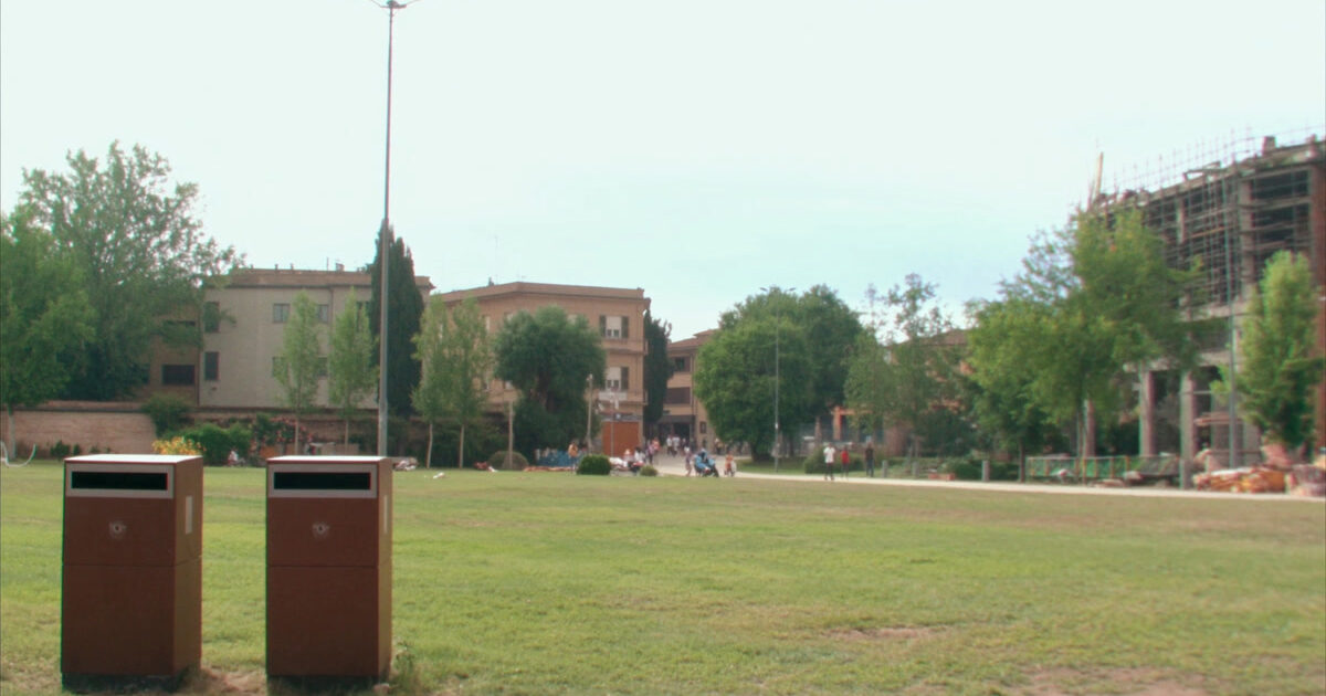 Forlì nella top ten per patrimonio arboreo: 45,3 alberi ogni 100 abitanti