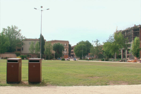 Forlì nella top ten per patrimonio arboreo: 45,3 alberi ogni 100 abitanti