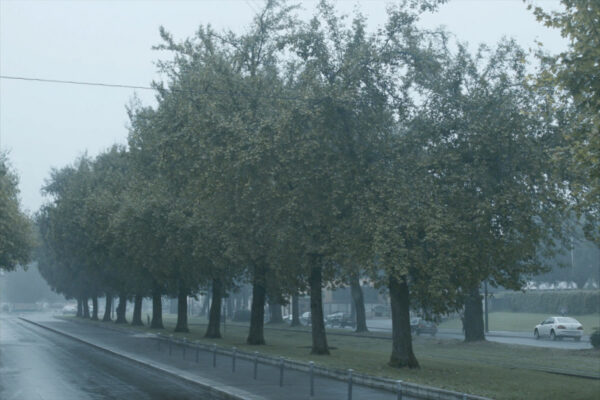 Monza, allerta meteo arancione: rischio temporali oggi