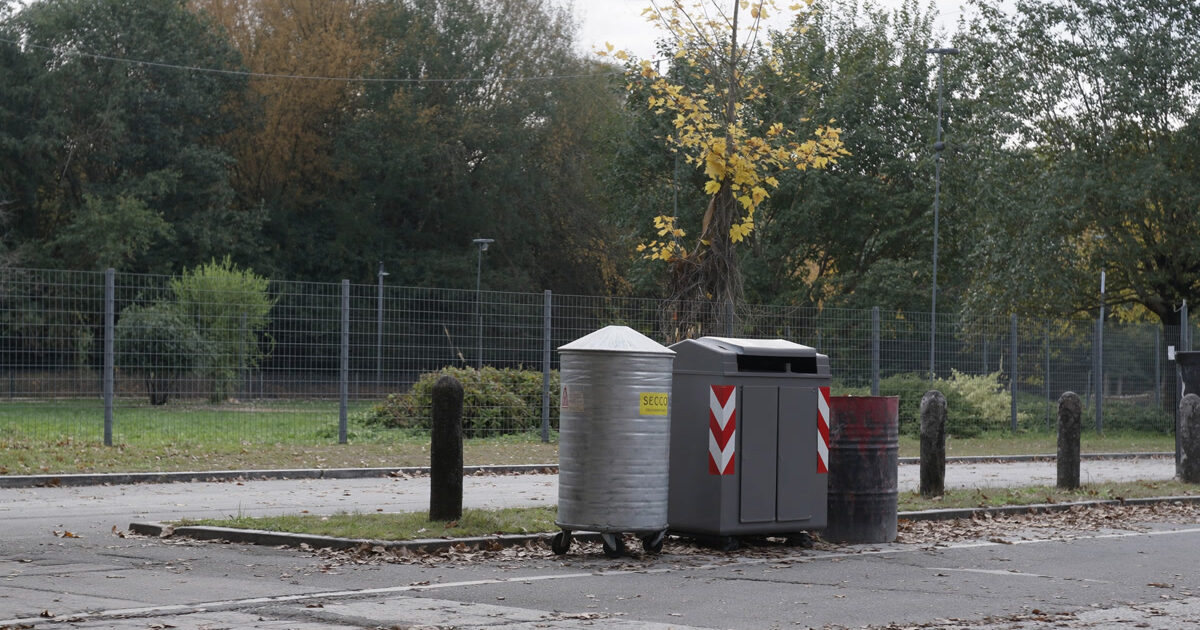 Trento, piantate tre magnolie in largo Porta nuova