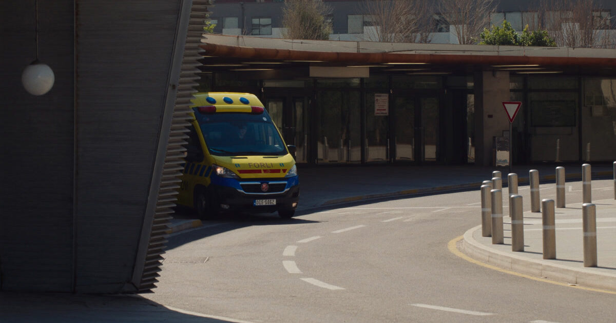 Forlì, segnalazione di giocattolo contaminato: cosa fare