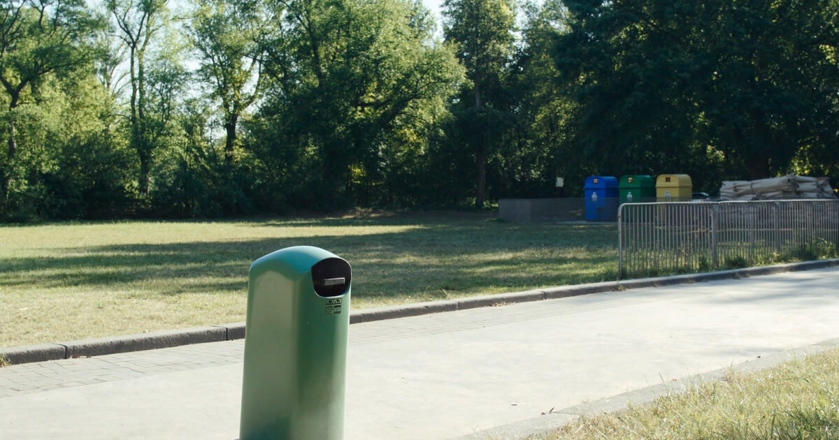 Vicenza, abbattimento di pioppi al Parco Querini: cosa sapere
