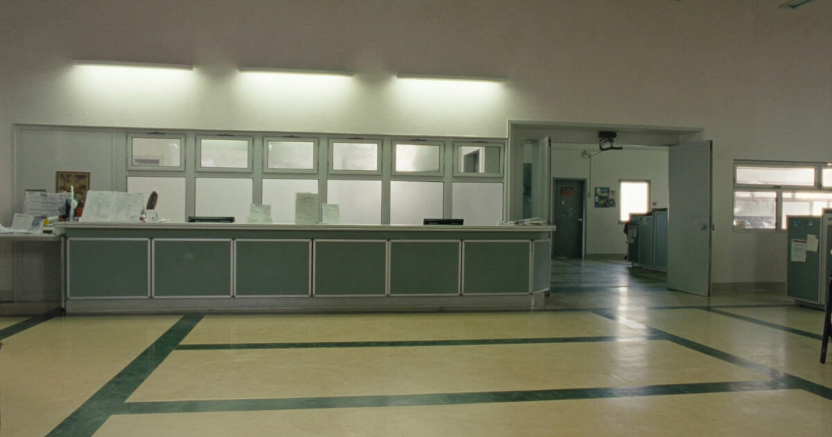 Sassari, servizi per gatti randagi: cure veterinarie attive da lunedì